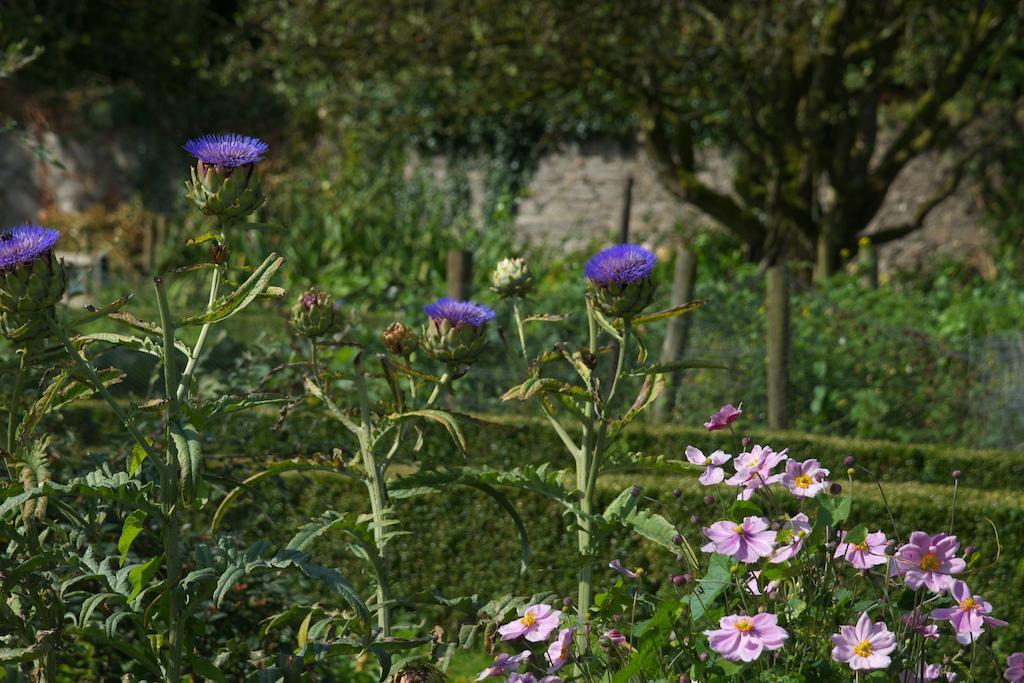 Multyfarnham Mornington Houseヴィラ エクステリア 写真
